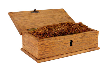 Old wooden box filled with shredded hand rolling tobacco isolated on a white background