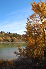 Autumn On The Riverbank, William Hawrelak Park, Edmonton, Alberta