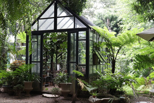 Green  house in the woods