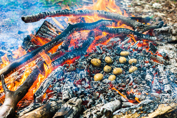 Picnic in nature. Cooking potatoes and kebabs over the fire. Fire texture. Coals and flames. Macro filming. Grill.