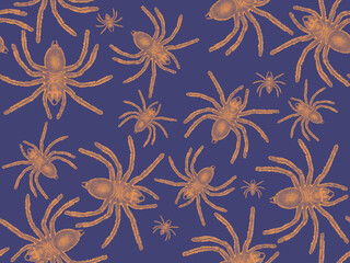 Spiders. Realistic illustration. Seamless pattern