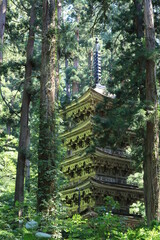 Five - storied pagoda in Mt.Haguro ,japan,akita