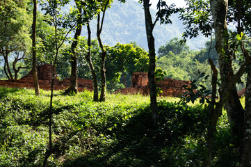 mysonsanctuary,vietnam,historicarchitecture,oldarchitecture,landscape,travel,
ミーソン遺跡,ベトナム,旅行,世界遺産