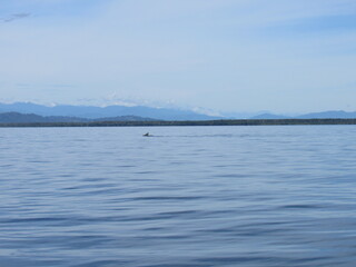 BOCAS DEL TORO.  PANAMA