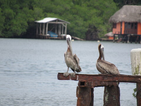 BOCAS DEL TORO.  PANAMA