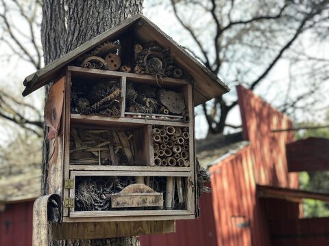 Hovsep Agop Photos Images Assets Adobe Stock