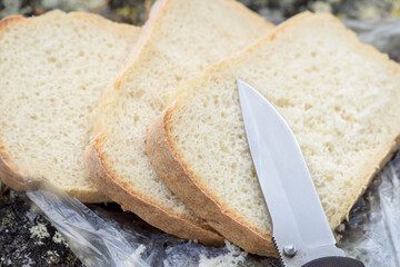 Sliced loaf of white bread on the nature in camping trip.