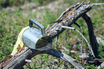Handheld harvester scoop on snags for quick picking berries in the forest.