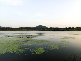 Fototapeta premium sunset over the lake