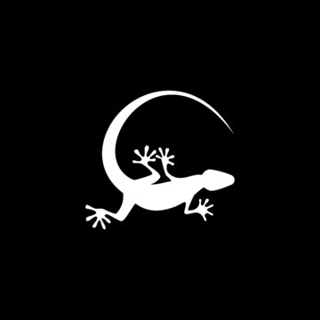 recommend clip art: Lizard icon isolated on dark background