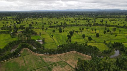 Fototapeta na wymiar Canal with rice field landscape.