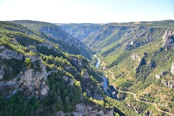 Fototapeta na wymiar Les Gorges du Tarn depuis le panorama du Roc des Hourtous