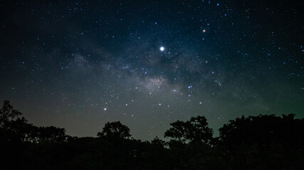 Beautiful Stars In The Night Sky