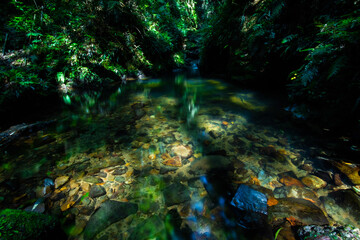 伊尾木グリーン
