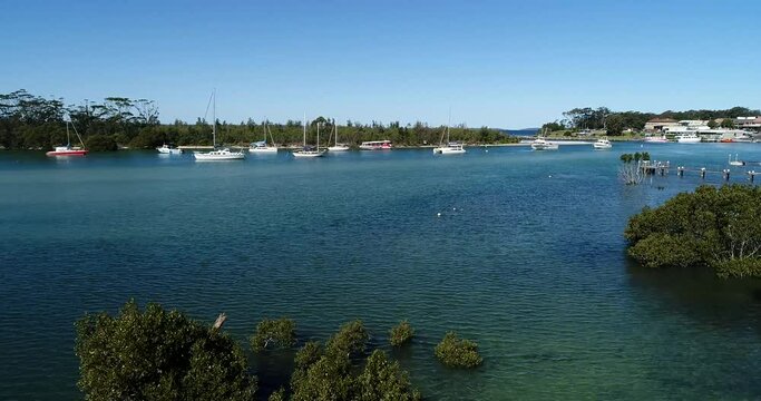 Curambene creek at Huskisson town in Jervis bay &ndash; mangrove trees in 4k.
