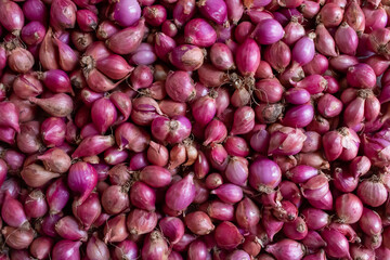 Top view of onions (shallots) spread in market