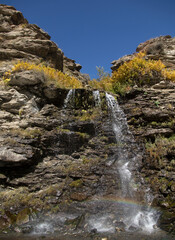 Fototapeta na wymiar A rainbow is formed due to tiny water droplets from a waterfall on a sunny day with clear sky and yellow bush within rocks.