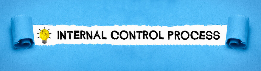 Internal Control Process