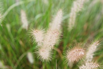 한국 경기도 시흥시 시흥갯골생태공원 입니다