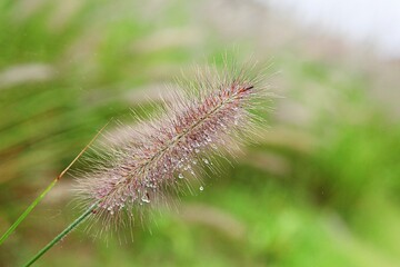한국 경기도 시흥시 시흥갯골생태공원 입니다