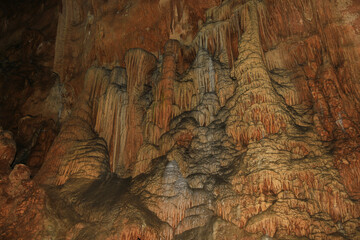 秋芳洞 くらげの滝のぼり