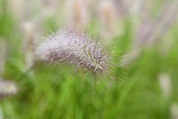 한국 경기도 시흥시 시흥갯골생태공원 입니다