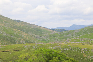 Fototapeta premium 秋吉台の景観