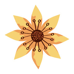 yellow flower design, natural floral nature plant ornament garden decoration and botany theme Vector illustration