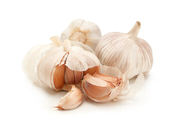 Garlic vegetable isolated