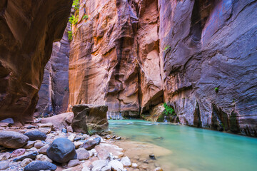 beautiful of narrow in the afternoon  in Zion National park,Utah,usa.
