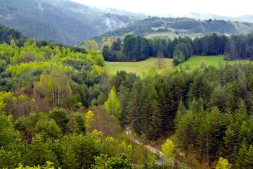 Top view on Zlatibor, green forest, and a road between hills in summer in Serbia.