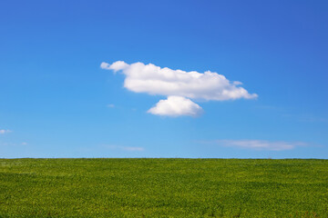 Cloud in blue sky and green field. Summer