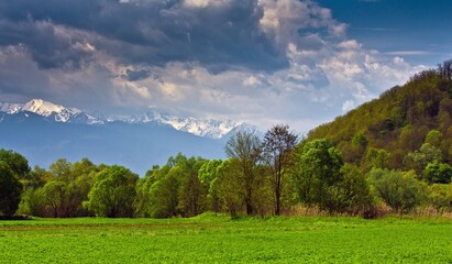 Beautiful view on Carpathian mountains in snow in the background and green field and forest on the slope against cloudy sky in summer in Romania.