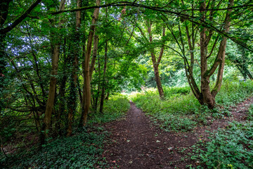 Nature park in Melhouse, Alsace FRancia
