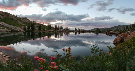 Cecret lake panorama with Indian paintbrush, Utah.
