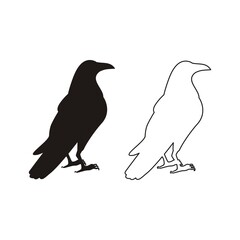 Raven silhouette