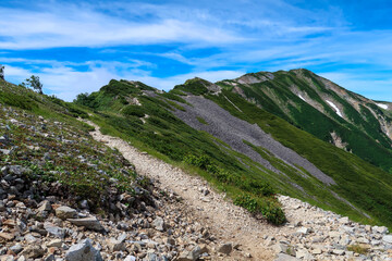 日本の百名山の白馬岳の登山道