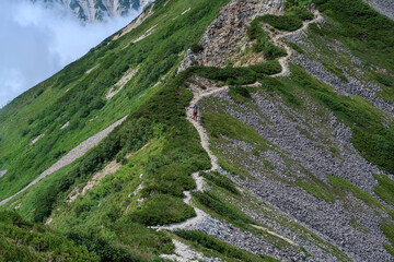Fototapeta na wymiar 日本の百名山の白馬岳の登山道