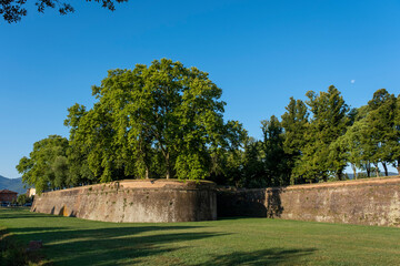 Lucca in Tuscany, Italy: row of trees and green grass along the road and the brick walls, the old defensive ramparts