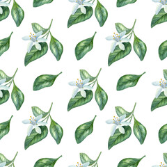 Naklejka premium Watercolor seamless pattern with citrus flowers and leaves on the light background. Bright cartoon hand-painted illustration.