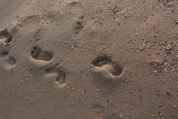 baby footprints on the sandy seashore
