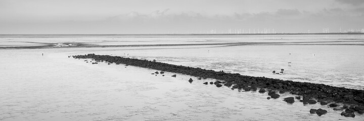 Ebbe im Nationalpark Wattenmeer, Ostfriesland, Niedersachsen, Deutschland, Europa