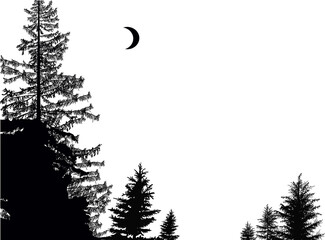 black firtrees forest with crescent on white