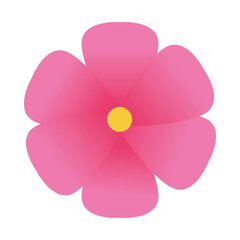 Isolated pink flower design