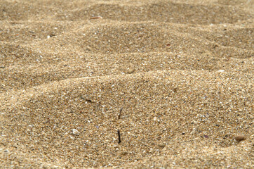 Primo piano alla calda e soffice spiaggia del mare.