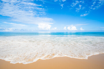 summer beach background