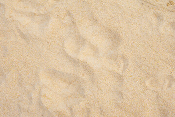 Fototapeta na wymiar sand backgrounders