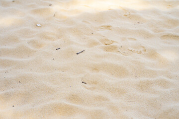 footprint on the sand
