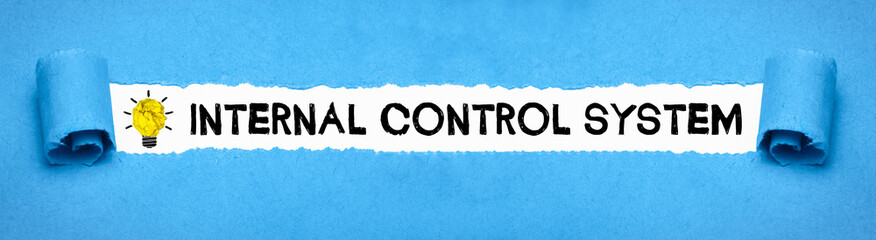 Internal Control System