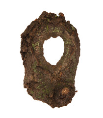 Hollow tree isolated on white background. Hole in trunk of tree